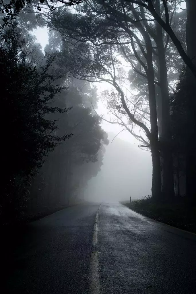 Psychology Facts About Fears - Mind Unlocked