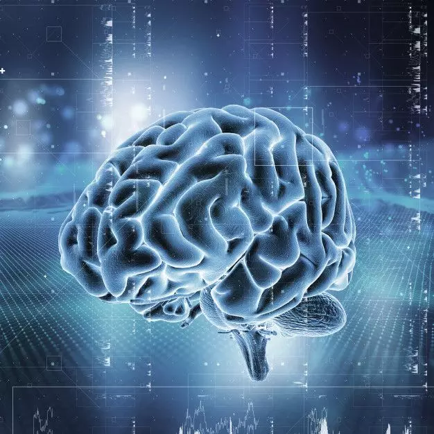 Psychology Facts About Human Brain - Mind Unlocked